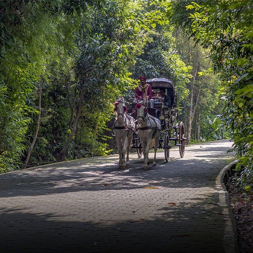 aahana-resort-buggy-ride