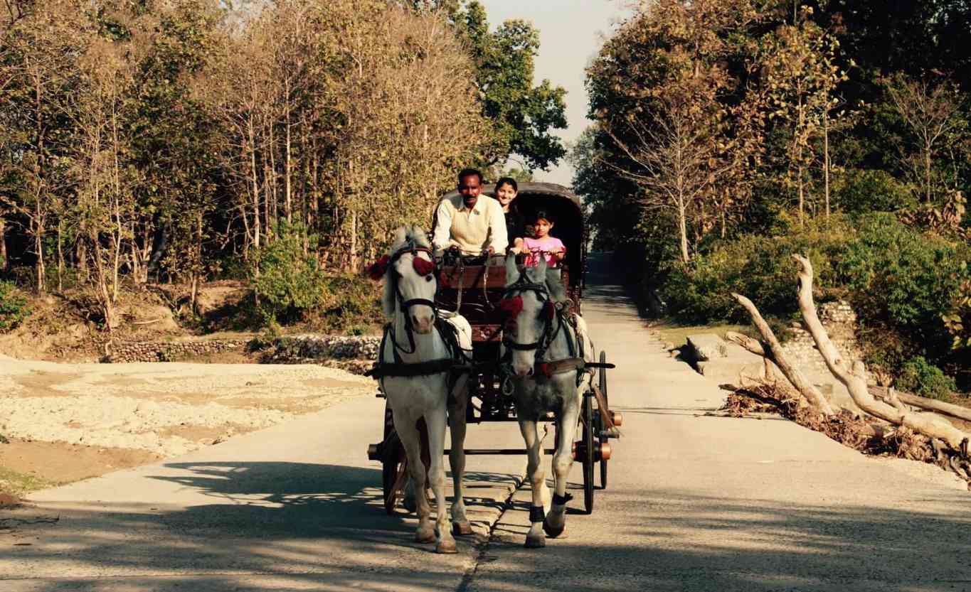 Why Aahana is the best resort in Jim Corbett ?