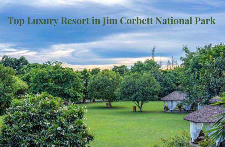 Luxury Resort in Jim Corbett