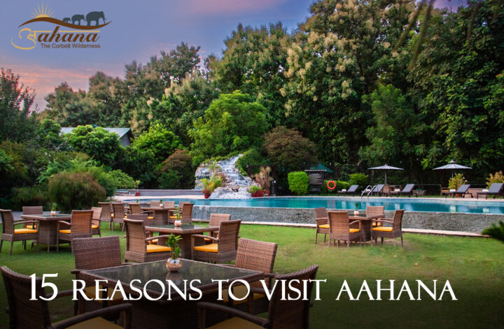 15 Reasons to visit Aahana Resort