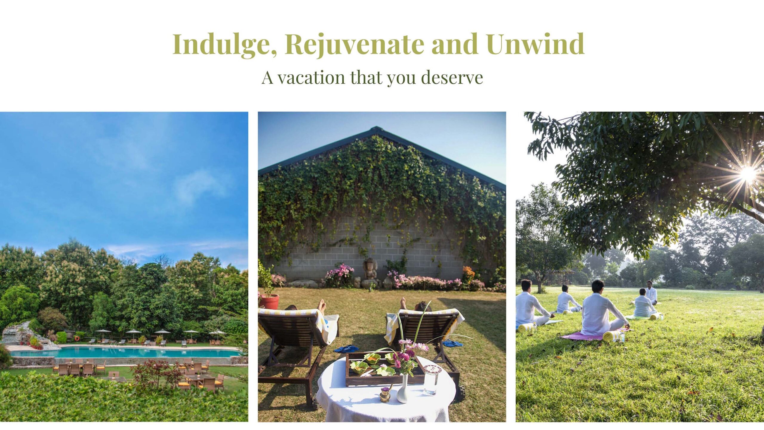 rejuvenate at aahana