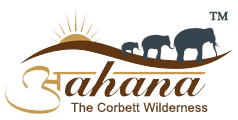aahana-the-corbett-wilderness